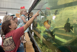 People looking at the aquarium at the Outdoor Encounter exhibit