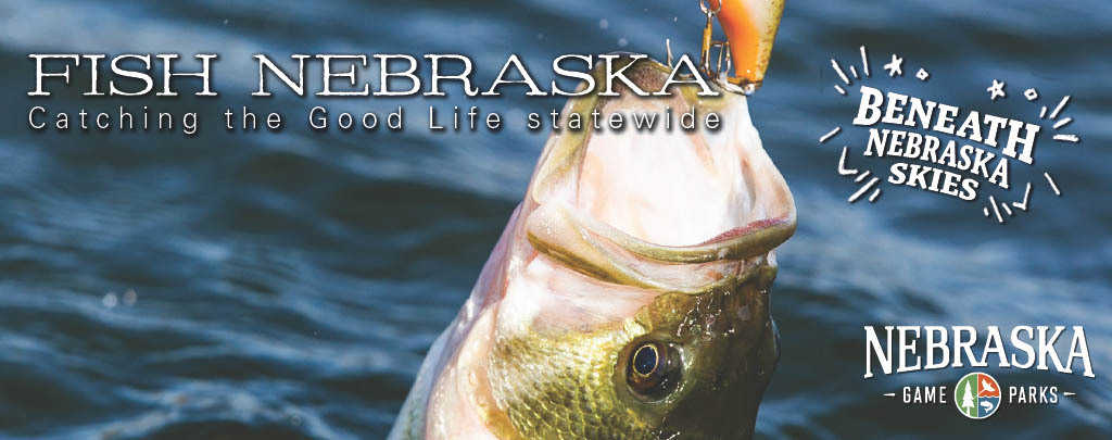 Fishing newsletter header