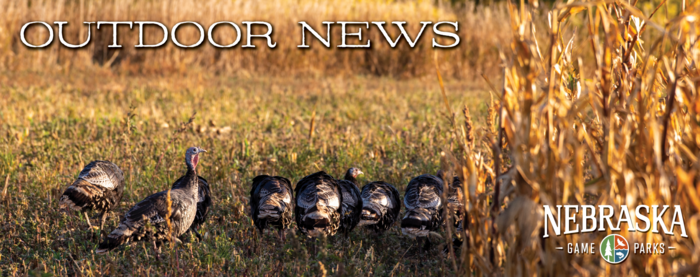 Header with Game and Parks logo and image of turkeys in field