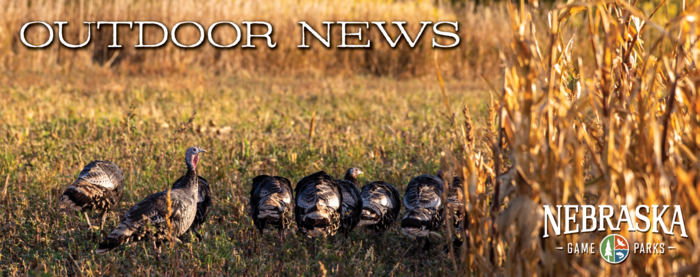 Header with Game and Parks logo and image of wild turkeys in field