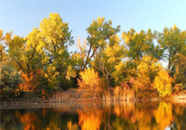 Fall color at Fort Kearny State Recreation Area