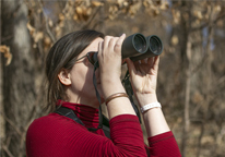 Woman birding with binoculars