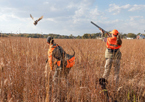 Hunter takes aim at a pheasant in flight