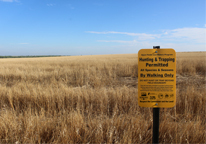 Public hunting land with Open Fields and Waters sign