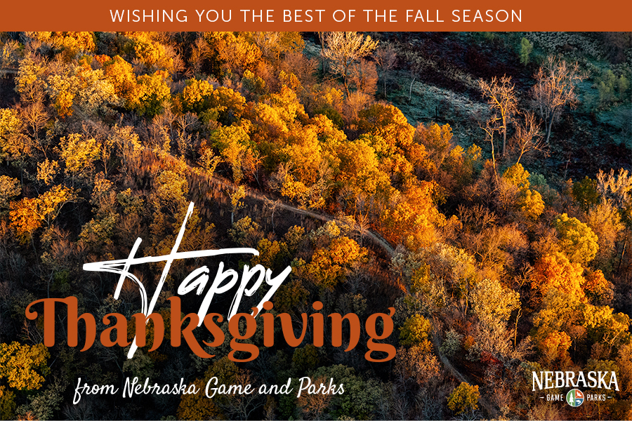 Aerial view of fall color at Indian Cave State Park, with text "Happy Thanksgiving from Nebraska Game and Parks"