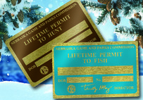 Lifetime permits on wintry background