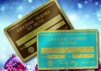 Lifetime permits on holiday background