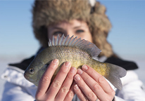 Woman holding up a fish she caught while ice-fishing