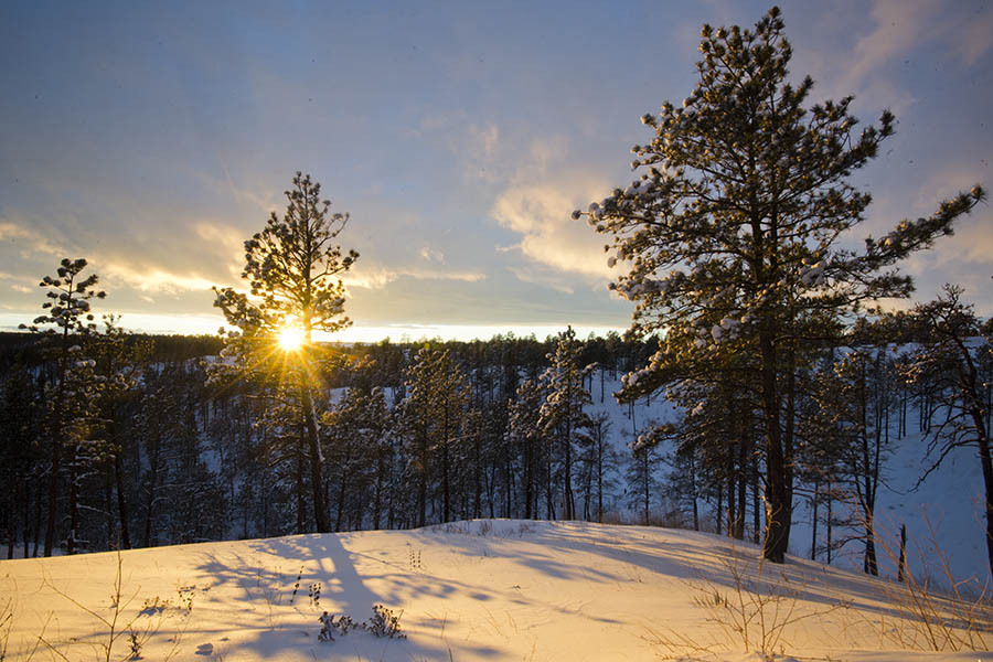 Sunset over a snowy forest at Chadron State Park