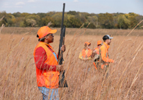 Pheasant hunters in the field