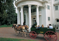 Horse-drawn carriage in front of Arbor Lodge Mansion