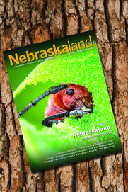 Cover of January-February Nebraskaland issue