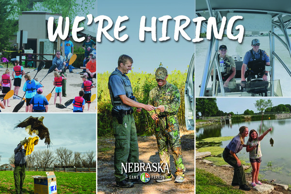 now-hiring-conservation-officers