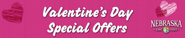 Header with text, "Valentine's Day special offers"