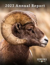 Cover of 2023 annual report showing a closeup of a bighorn ram