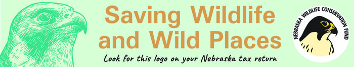 Ad: The Wildlife Conservation Fund. Saving wildlife and wild places.