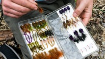 The inside of a fishing tackle box with various flies