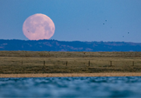 A full moon hanging over the Pine Ridge