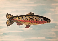 Child's watercolor of a rainbow trout