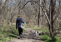 Woman walking her dog in April at a trail at Schramm State Recreation Area