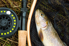 Cutthroat trout laying next to rod and reel on grass