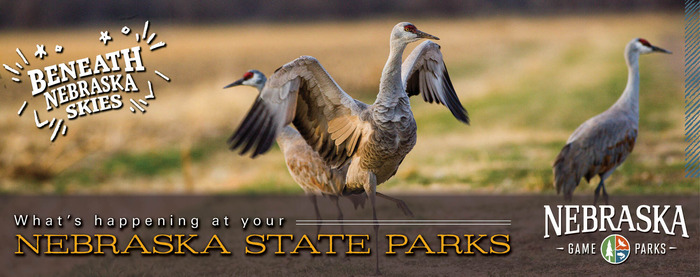 Cranes dancing in a field and the text "What's happening at your Nebraska state parks"