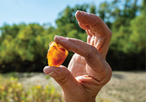 Closeup of a woman holding a honey agate she found in Nebraska