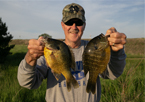 Angler holding a pair of master angler-sized bluegill