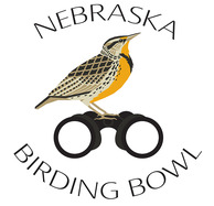 Nebraska Birding Bowl logo showing bird and pair of binoculars