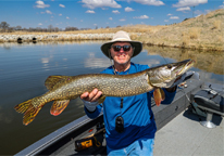 Angler holding up a northern pike caught in Lake Flanagan