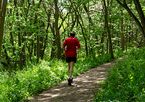 Someone running the trails at Schramm Park State Recreation Area