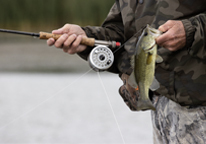 Closeup of an angler's gear and hands holding a fish