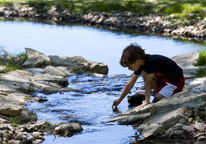 A boy plays in Crawdad Creek at Platte River State Park