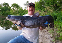 Angler holding a large flathead catfish