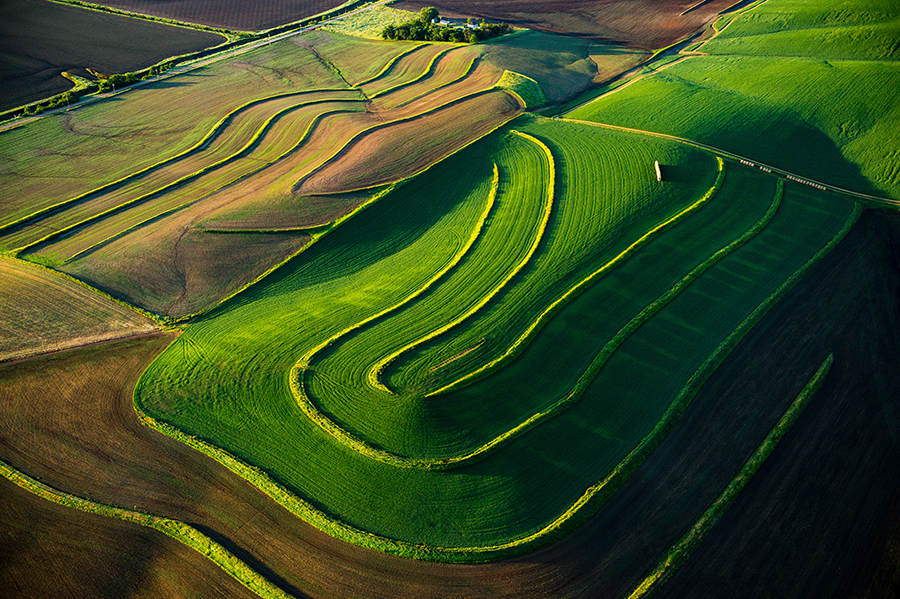 Vibrant green and brown terraces wrap around a hilltop in a hay field in Washington County.