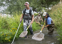 Two biologists working in a stream with nets