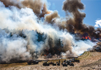 Overhead view of large plumes of smoke created by a prescribed burn