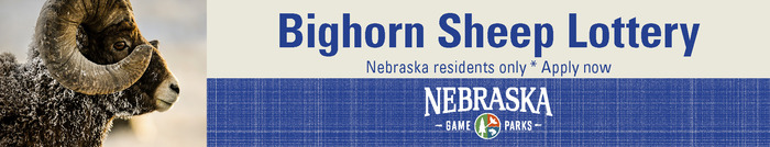 Ad showing bighorn sheep and text: "Bighorn Sheep Lottery; Nebraska residents only, apply now"