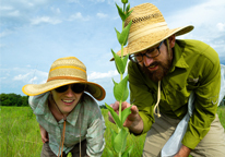 Two people looking for insects on a plant during a bioblitz