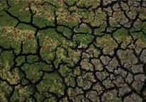 Aerial view of cracks spread across the Rainwater Basin