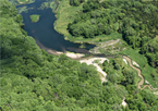 Aerial view of Grove Lake Wildlife Management Area