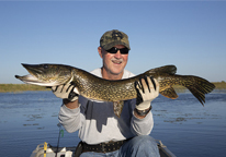 Man holding a master angler northern pike