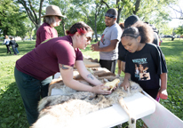 A master naturalist shows a girl furs and skulls in a park.