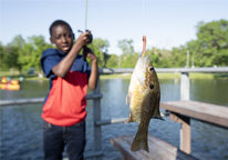 Boy catching a fish