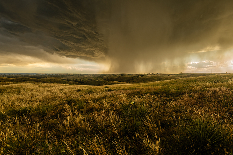 Dramatic storm clouds and rain falling in the distance over a grassland.