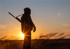 Silhouette of a waterfowl hunter in the field at sunset