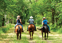 Three horseback riders on a wooded trail in Nebraska