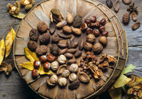 A display showing different types of Nebraska nuts