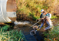 Biologists sample fish below a culvert on Bone Creek.