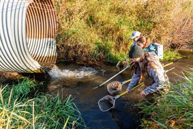 Biologists sample fish below a culvert on Bone Creek west of Ainsworth